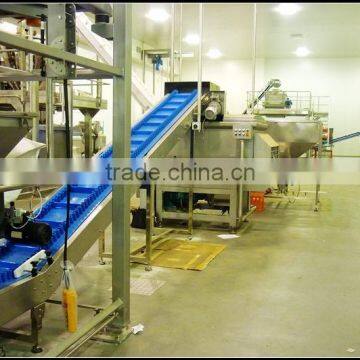 Food Grade Pvc Belt With Baffle and Side Guide Conveyor for Freezing Food photo-5