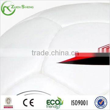 Zhensheng Futsal Soccer Ball