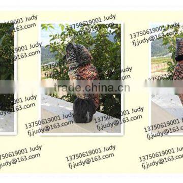 Wholesale plastic head rotation owl decoy