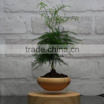 decorative plant pots air bonsai pots