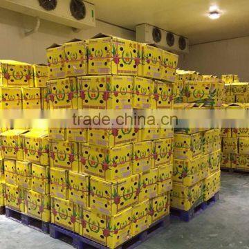 Dragon Fruit photo-6