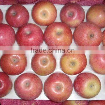 Fresh Qinguan Apple photo-6