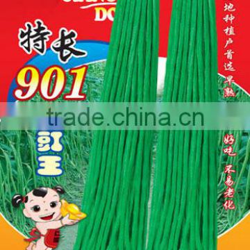 High Yield Early Mature Deep Green Chinese Long Bean Seeds Cowpea Seeds Asparagus Bean Seeds For Planting