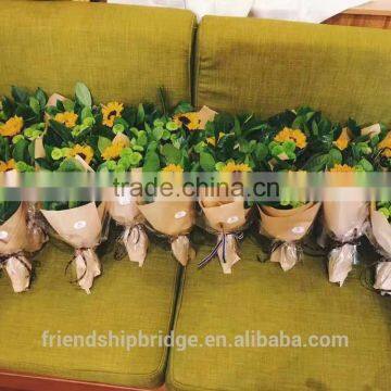 Nursery Direct Fresh Cut Sunflower photo-3