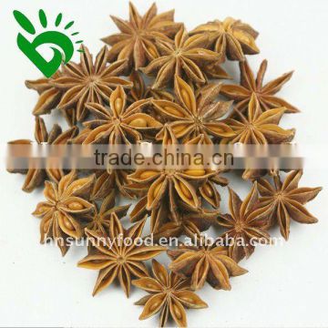 Star aniseed