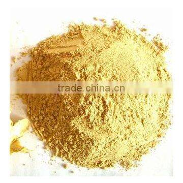 Ginger Powder health organic green