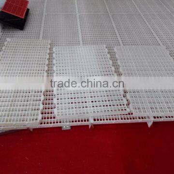 Goldenest Supplies Poultry Equipment Price Plastic Slats Flooring for Broiler Farm Manufacturer Price JCJ13-PS11 photo-2