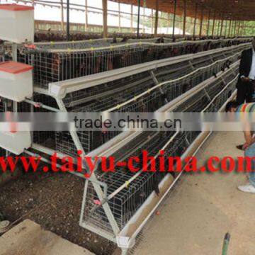 Kenya Nairobi Warehouse 120 160 and 256 Birds Chicken Layer Cage