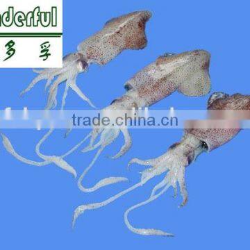 Squid liver powder for animal feed, fish feed