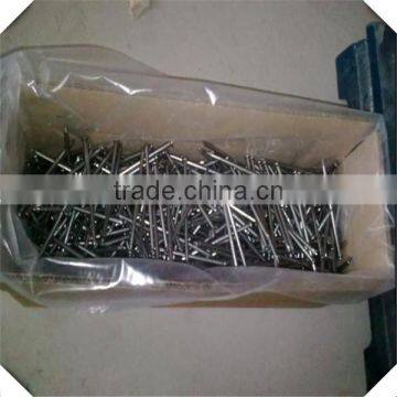 polish wire nails for sale / wire nails price / hot sale common nails