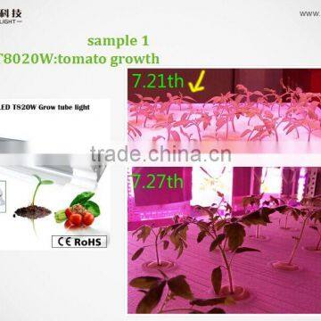 the Best Grow Light for Tomatoes,vanq Integrated Seed Lights,CE,RoHS Approved photo-2