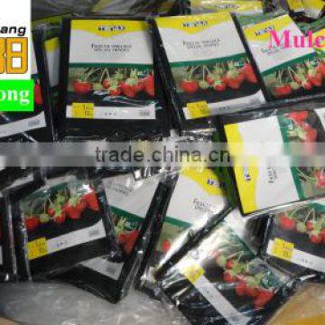 Agricultural Black Plastic Perforated Mulch Film With Holes for Strawberry photo-2