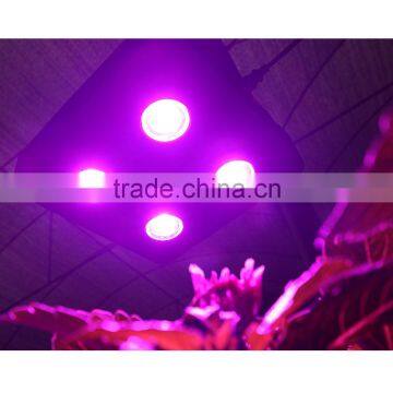 2016 Factory Price Best Selling Products 800 Watt High Power COB LED Grow Light Chips photo-5