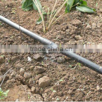 High Quality Price 16mm Drip Irrigation Pipe Coil For Farm Irrigation