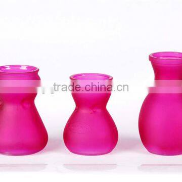 small glass flower vase with spary