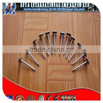 BWG 9 Umbrella head roofing nails