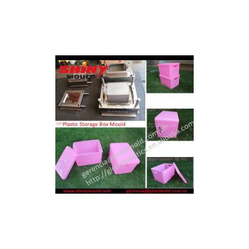 Plastic Container Mould Plastic Box Mould/Moldes de Cajas