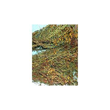 Offer St. John's Wort Extract Extra photo-2