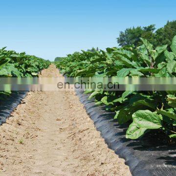 High Quality Plastic Black Agriculture Mulch Film