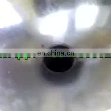 Nuts shelling machine for Ginkgo Ginkgo nut sheller Ginkgo shelling machine with low price