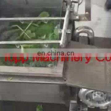 Home Use Small Model Fruit and Vegetable Washing Machine in China