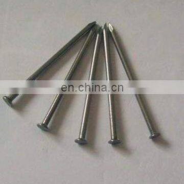 2018 China hot sale factory supplier common nail