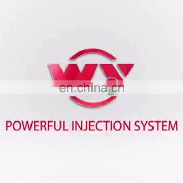 WEIYUAN High quality common rail injector  0445120218