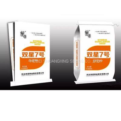 Raw Natural Chinese Black Sunflower Seeds for Planting photo-3