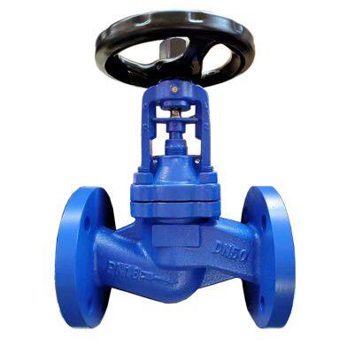 Industrial Cast Iron Manual One Way Rising Stem Flange End Bellows High Temperature Globe Valve With OEM Support photo-4