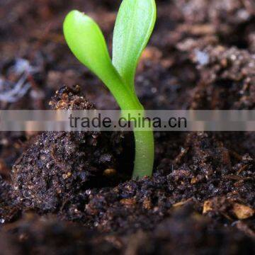 100% Water Soluble Leonardite Source Spray Fertilizer Fulvic Acid Powder