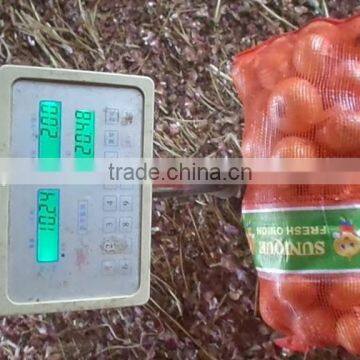 2015 crop fresh yellow onion supplier from China