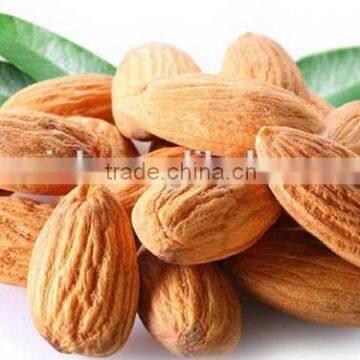 factory supply almond