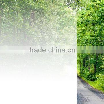 PET Release Film for Window Film photo-2