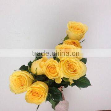 lily flower with cement pot ERKA TRADE COMPANY