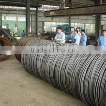 SAE1008 Galvnized steel wire rod