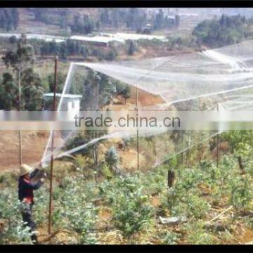 Stretched Plastic Netting | Fence to Protect Agriculture and plants