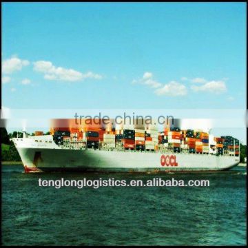 container sea freight rates and CIQ agent to Port Suez of Egypt from China Shenzhen Guangzhou Shanghai