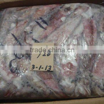 FROZEN LOLIGO SQUID photo-2