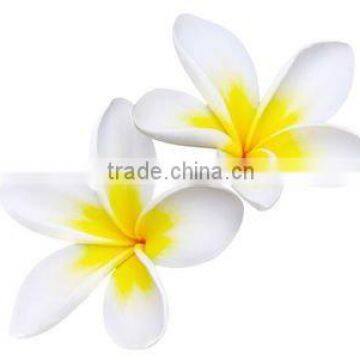 100% Pure & Natural Frangipani Absolute