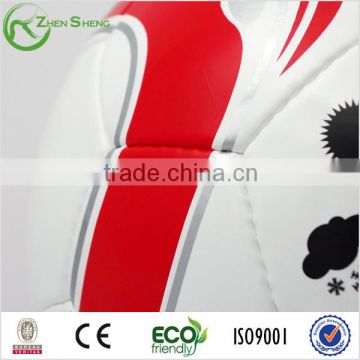 Zhensheng Brillant Soccer Ball Official Size