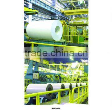 Prepainted galvanized Steel Coil (PPGI/PPGL)