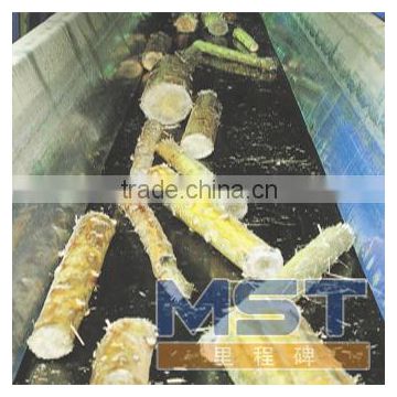 Sugar Industry Belt Conveyor