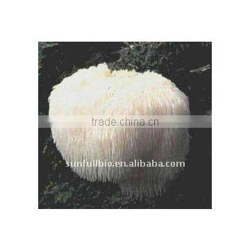 Hericium Erinaceus Straight Powder 80-120mesh