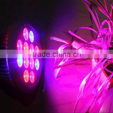 Grow Plant Light LED Full Spectrum Plant Grow Light E27 12W photo-5