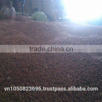 NEW CROP VIETNAM PEANUT / Vilaconic.export15@gmail.com photo-3