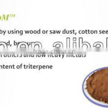 BNP Supply High Quality / Organic Reishi Mushroom P.E. Triterpene 10%