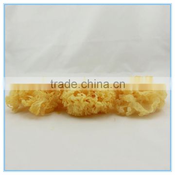 Wholesale dried tremella fuciformis white fungus