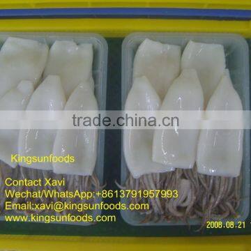 Wholesale Good Price Frozen Squid Tube&Tentacale(T+T)