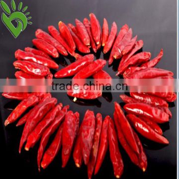 Chaotian Chilli