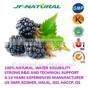 Mulberry fruit extract Anthocyanidin 25% ISO, GMP, HACCP, KOSHER, HALAL certificated